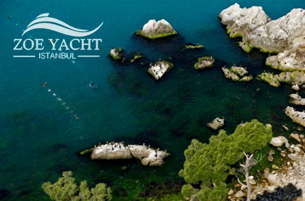 swimming in istanbul