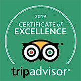 tripadvisor award winner 2019