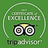 tripadvisor travel award
